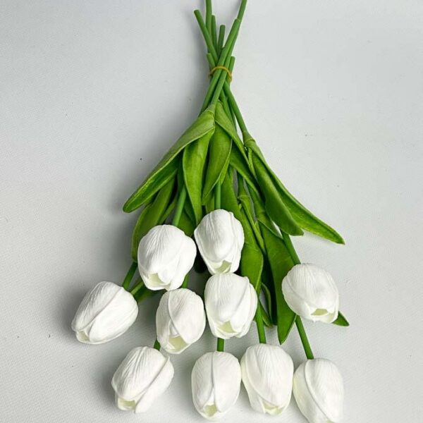 Тюльпан  білий