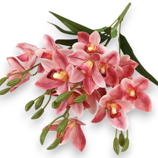 Букет Орхідей Цимбідіум (рожева)