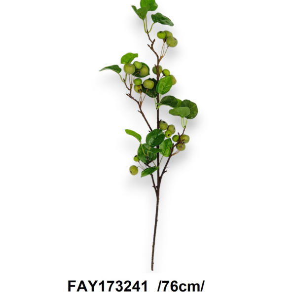 Китайські Яблучка зелені