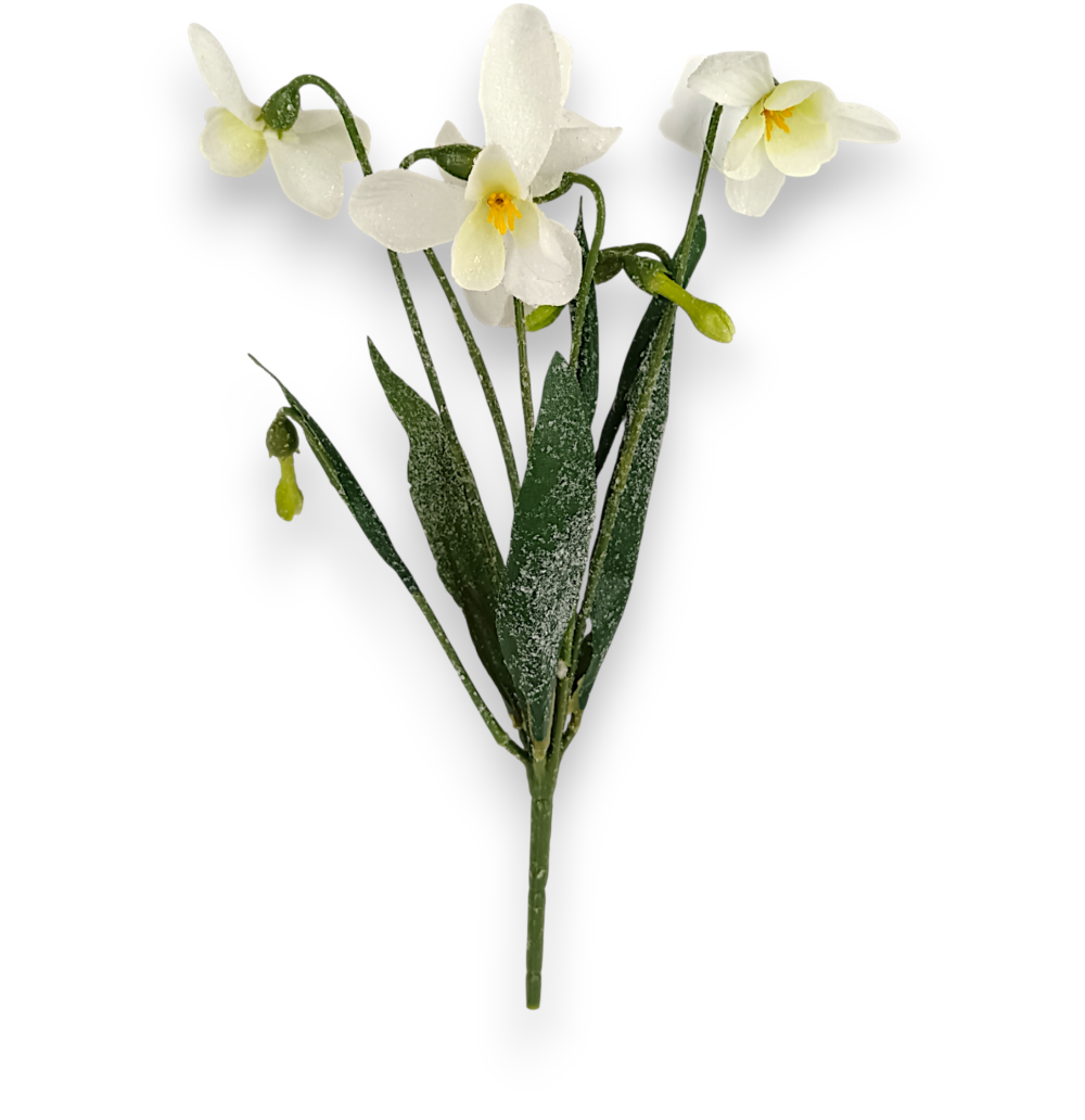 Букет Підсніжників засніжених