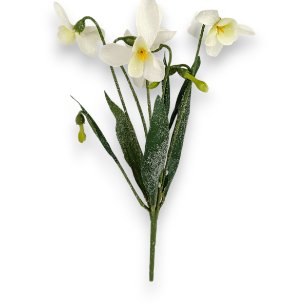 Букет Підсніжників засніжених