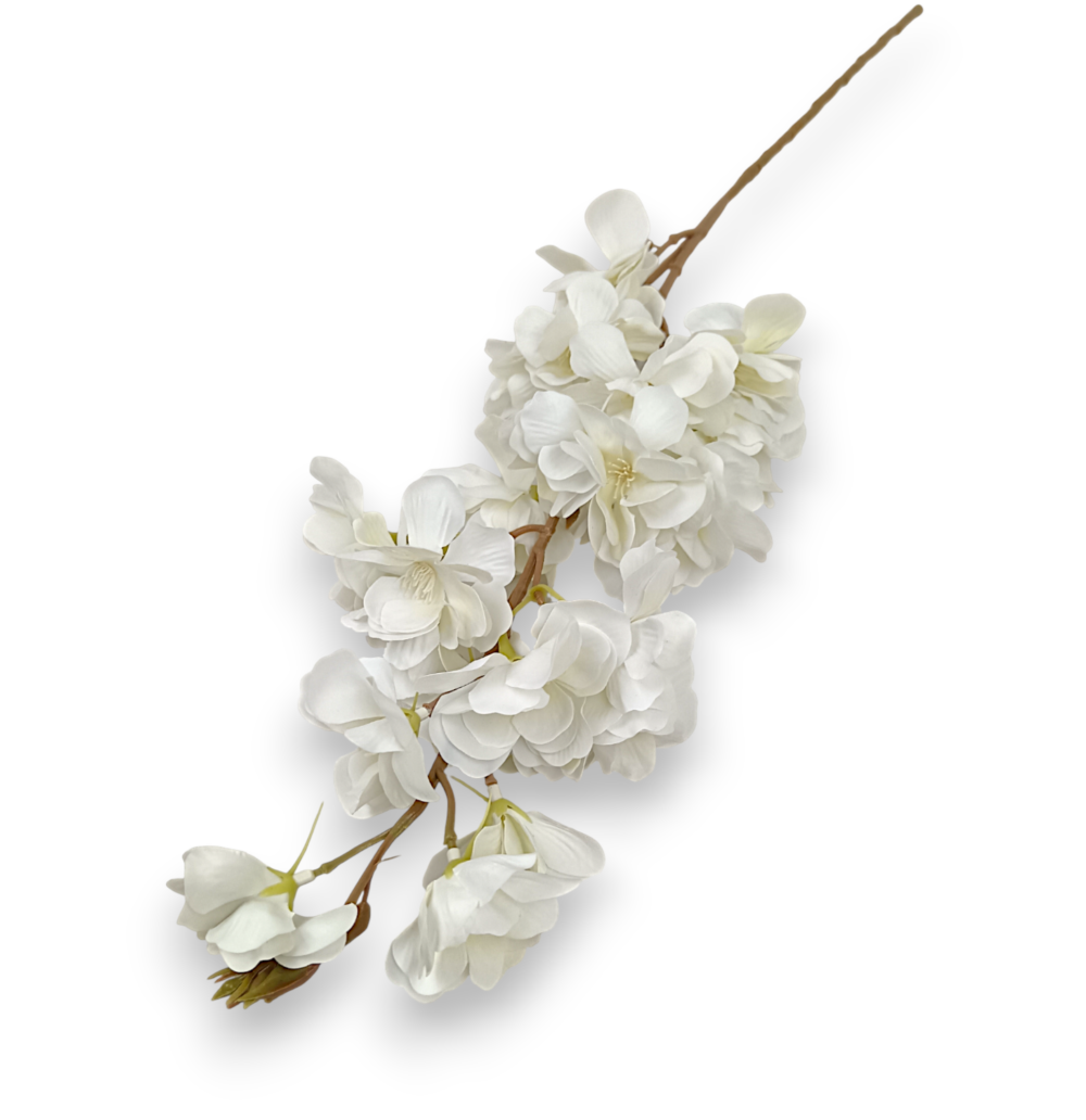 Гілка Сакури Біла