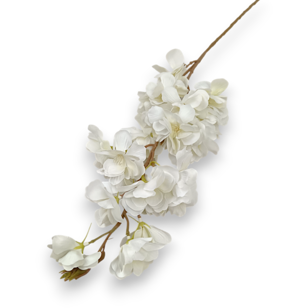 Гілка Сакури Біла