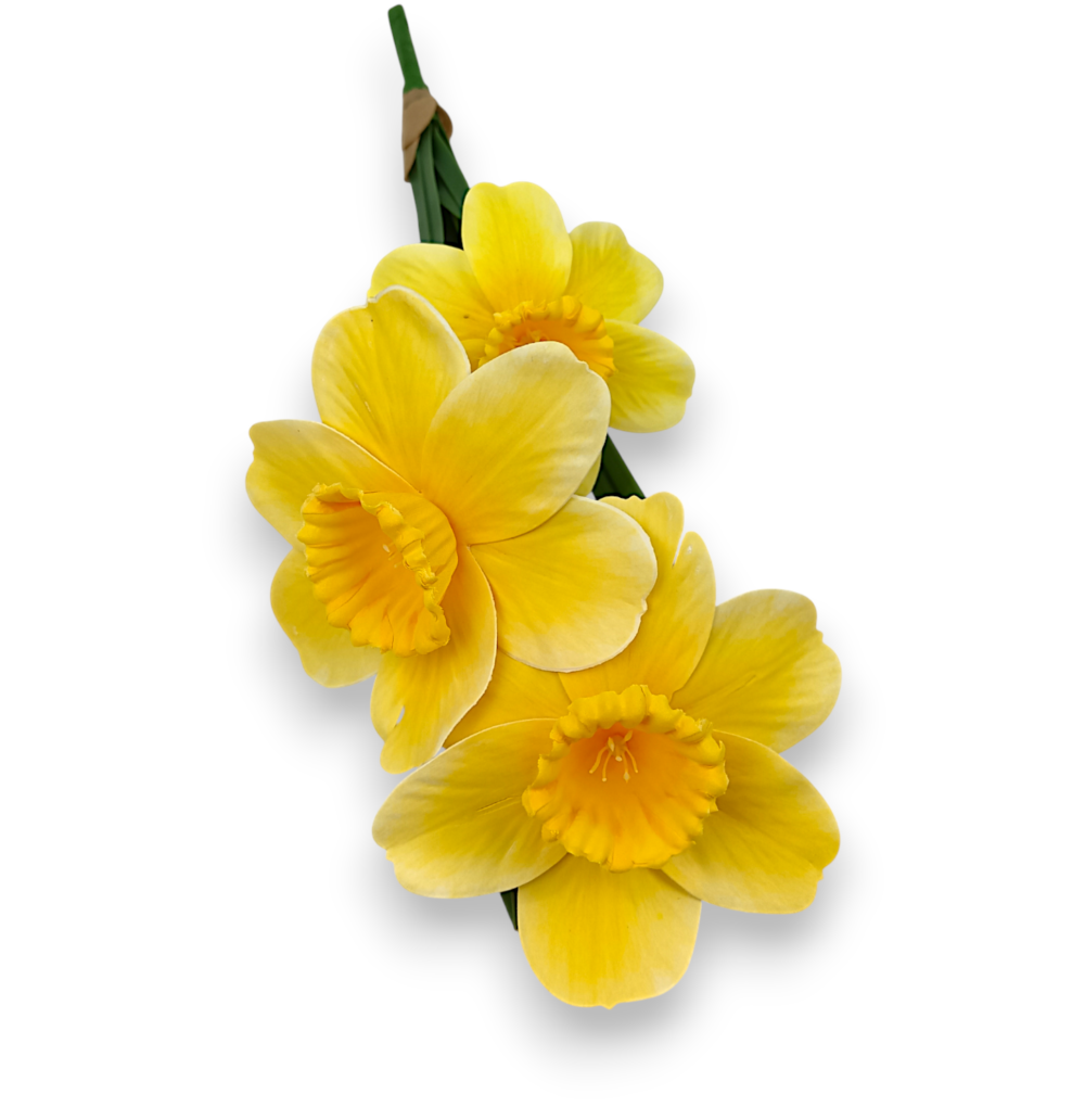 Гелеві Нарциси Букет жовті