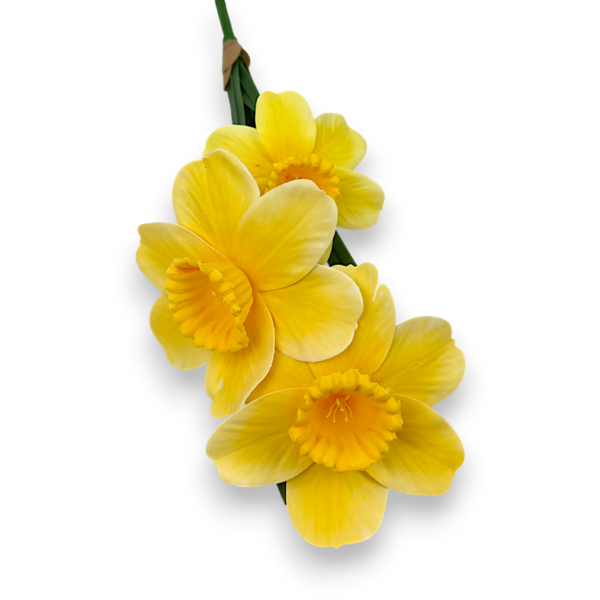 Гелеві Нарциси Букет жовті