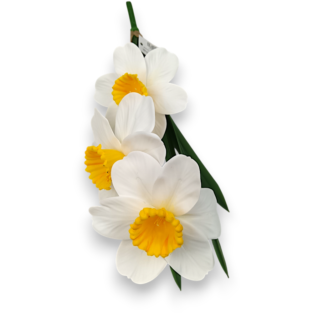 Гелеві Нарциси Букет біло-жовті