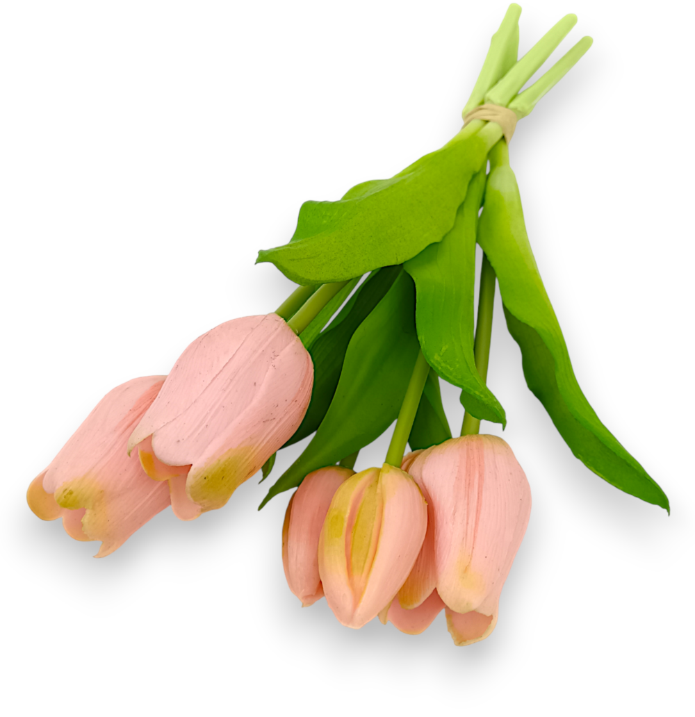 Тюльпан класичний рожевий