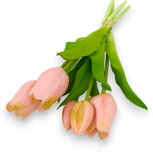 Тюльпан класичний рожевий