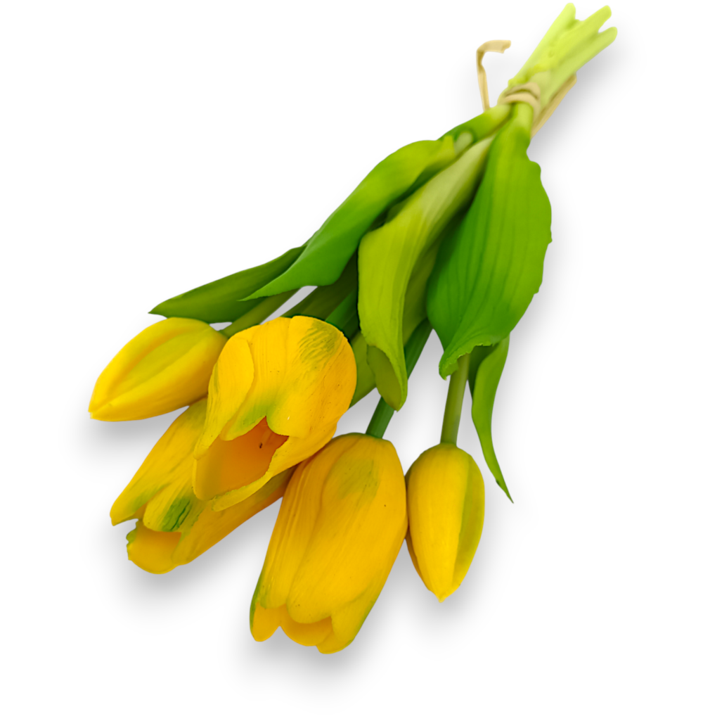 Тюльпан класичний жовті