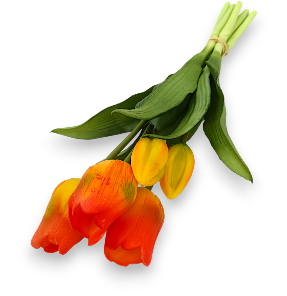 Тюльпан класичний помаранчеві