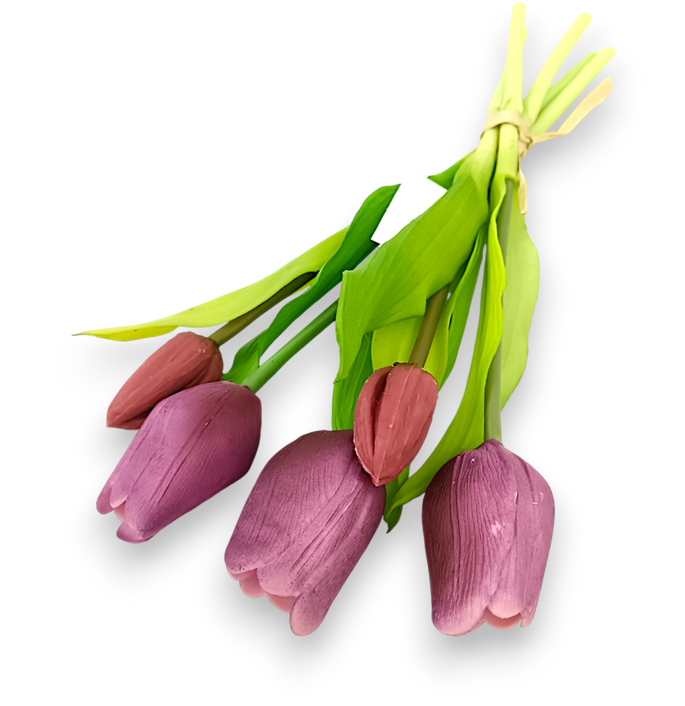 Тюльпан класичний сливові