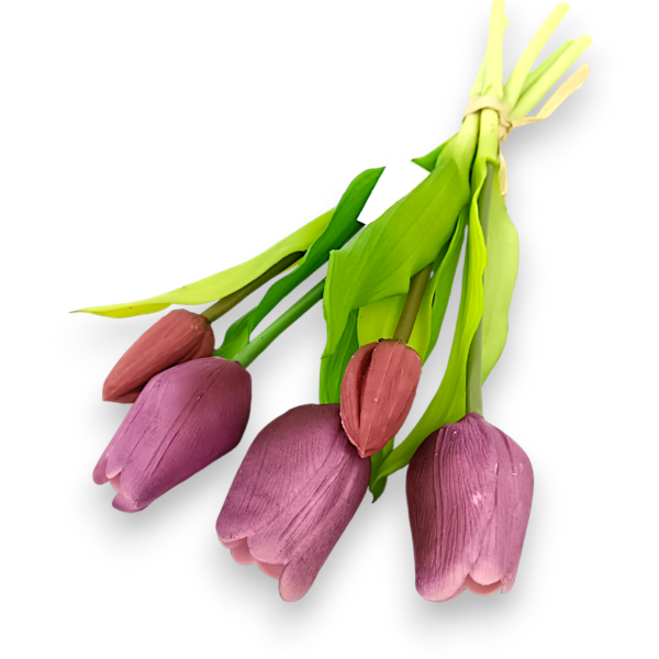 Тюльпан класичний сливові