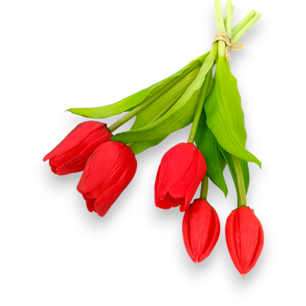 Тюльпан класичний червоний