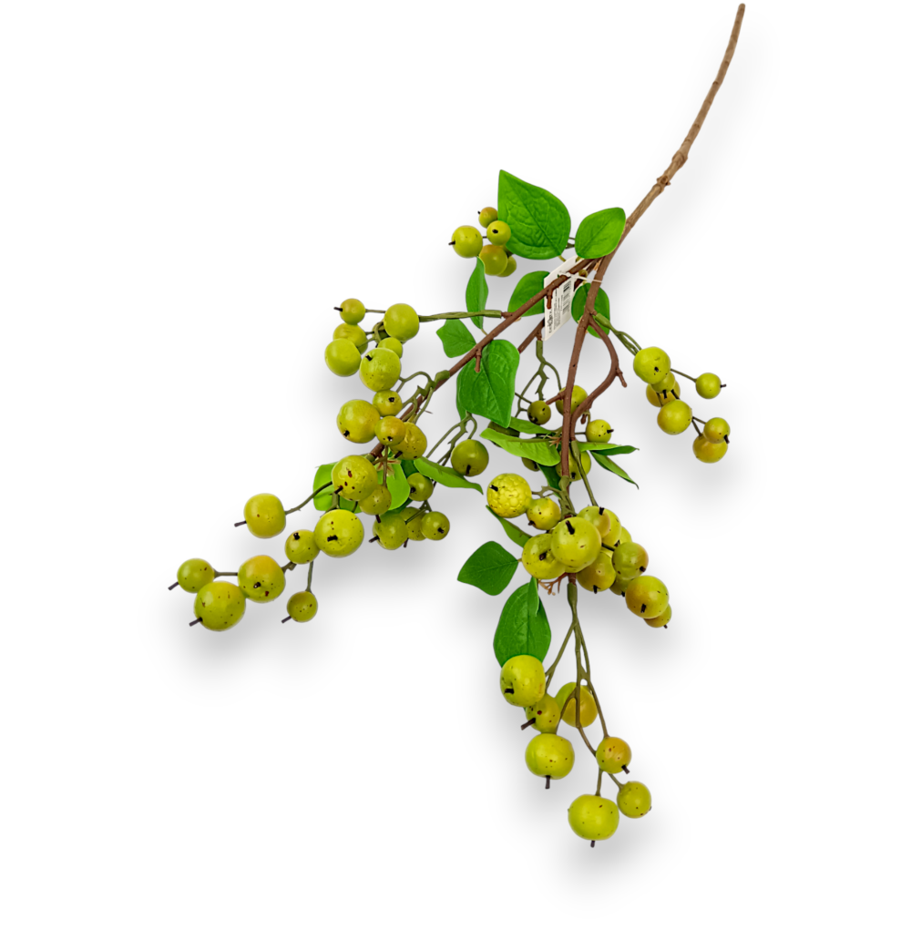 Китайські Яблучка зелені