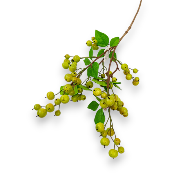 Китайські Яблучка зелені