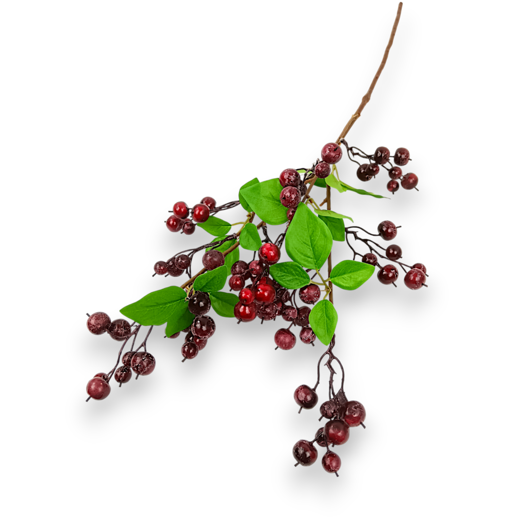 Китайські Яблучка червоні