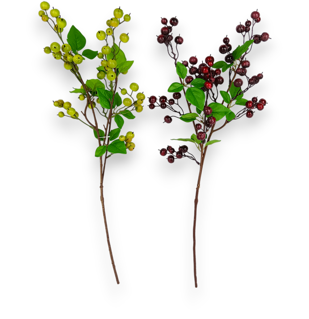 Китайські Яблучка червоні - Зображення 2