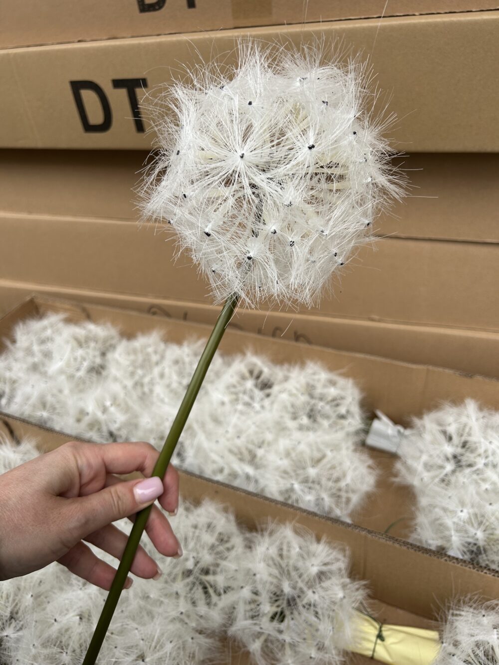 Кульбаба Штучна Біла - Зображення 3