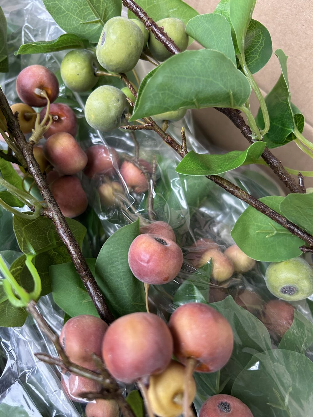 Китайські Яблучка червоні - Зображення 2