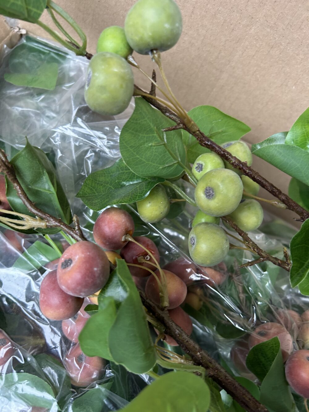 Китайські Яблучка червоні - Зображення 3