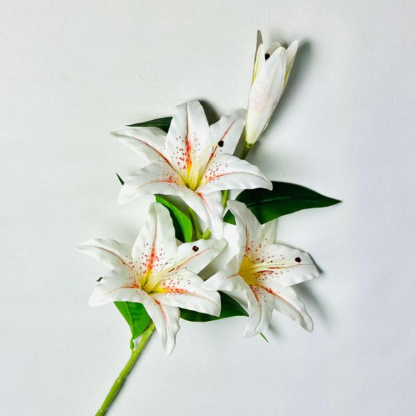 Гілка Лілії Гелева «Real Touch» біла