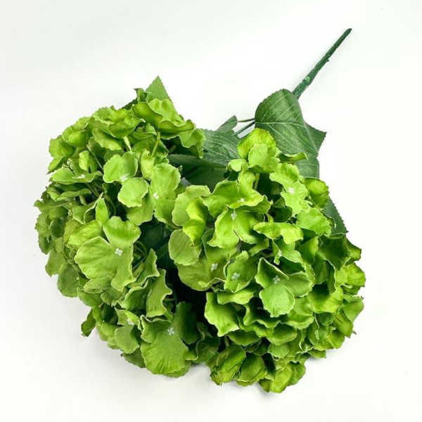 Букет Гортензії на 5 Голів зелена