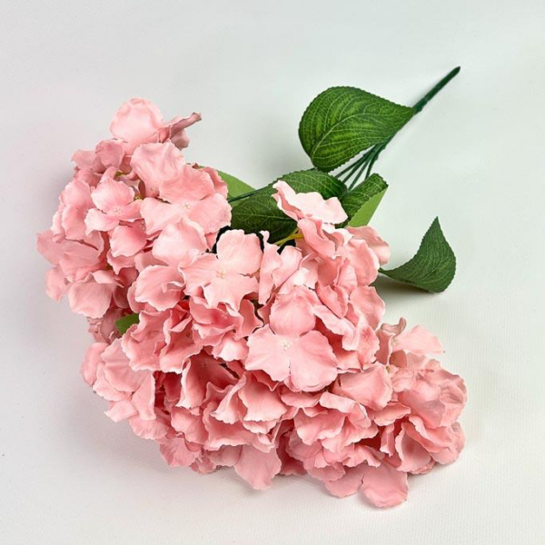 Букет Гортензії на 5 Голів пудрова