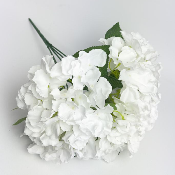 Букет Гортензії на 5 Голів біла