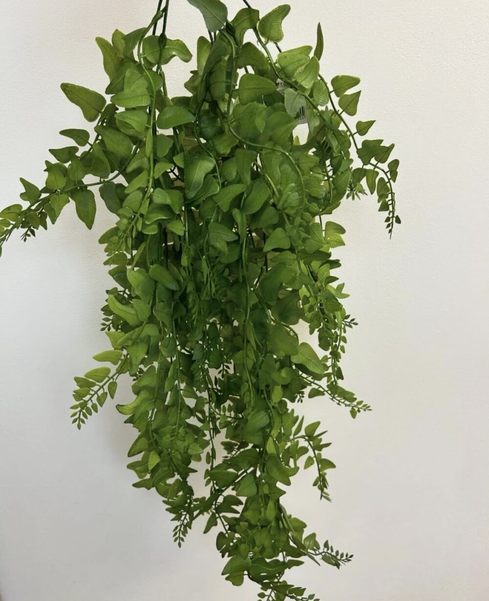 Густий Кущ Ампельної Зелені