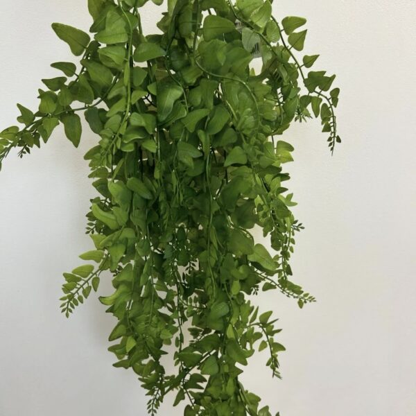 Густий Кущ Ампельної Зелені