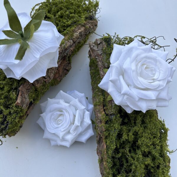 Голова Троянди «Гостролиста»Біла