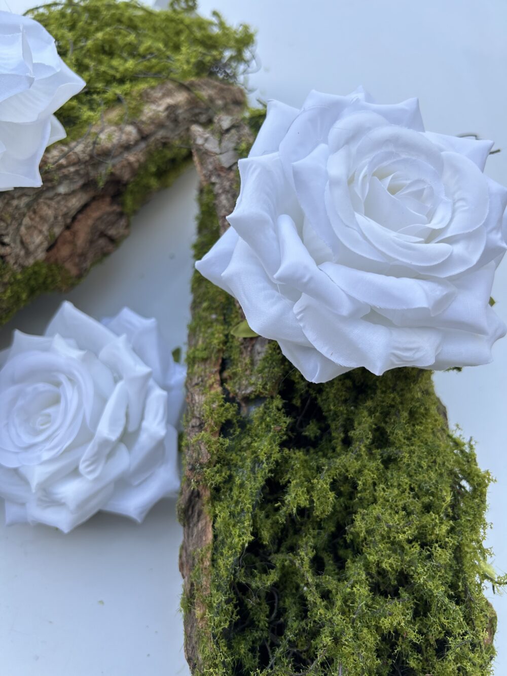 Голова Троянди «Гостролиста»Біла - Зображення 3