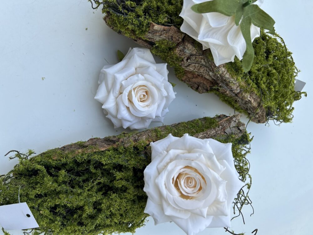 Голова Троянди «Гостролиста»Айворі