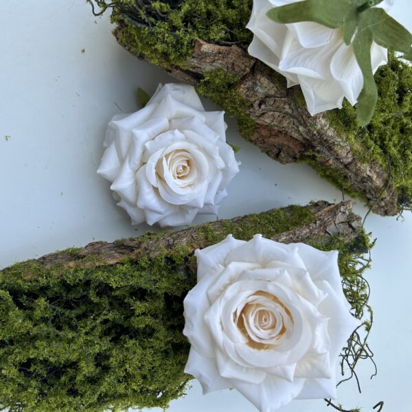 Голова Троянди «Гостролиста»Айворі