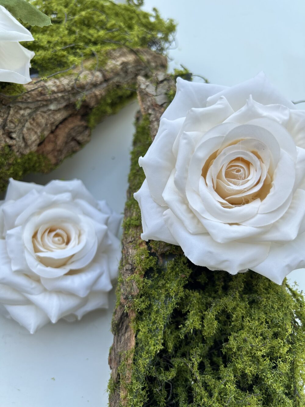 Голова Троянди «Гостролиста»Айворі - Зображення 3