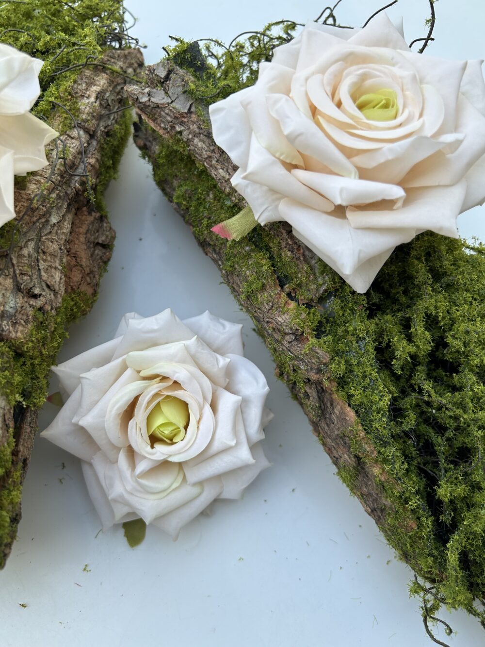 Голова Троянди «Гостролиста»Крем - Зображення 3