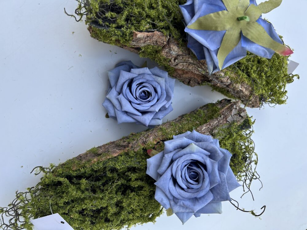 Голова Троянди «Гостролиста»Голуба