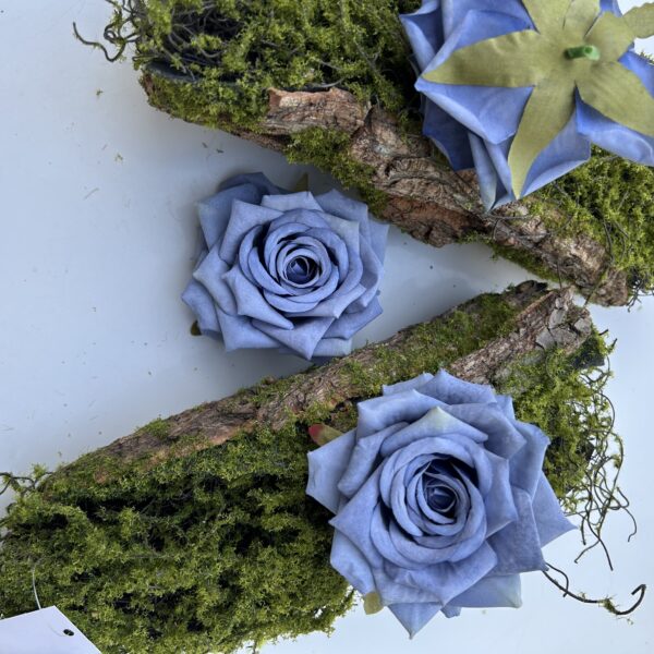 Голова Троянди «Гостролиста»Голуба