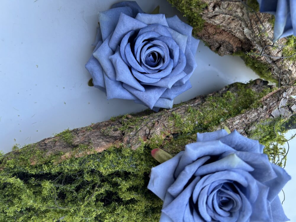 Голова Троянди «Гостролиста»Голуба - Зображення 3