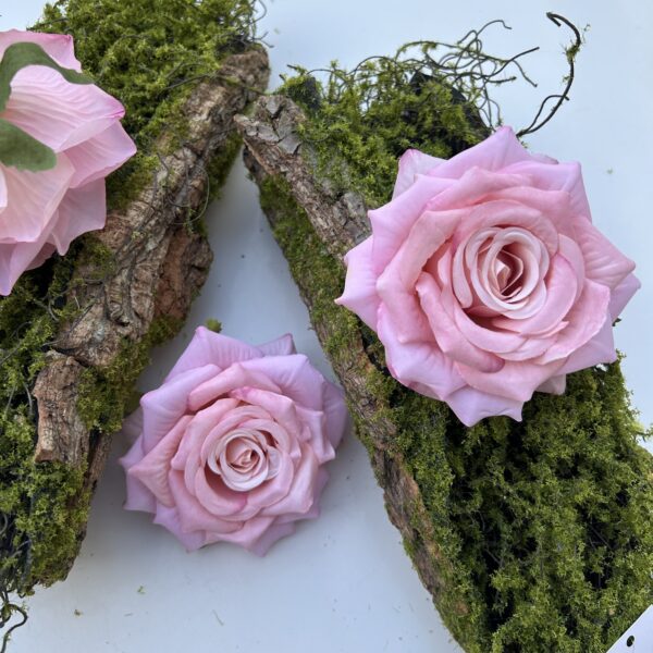 Голова Троянди «Гостролиста»Рожева