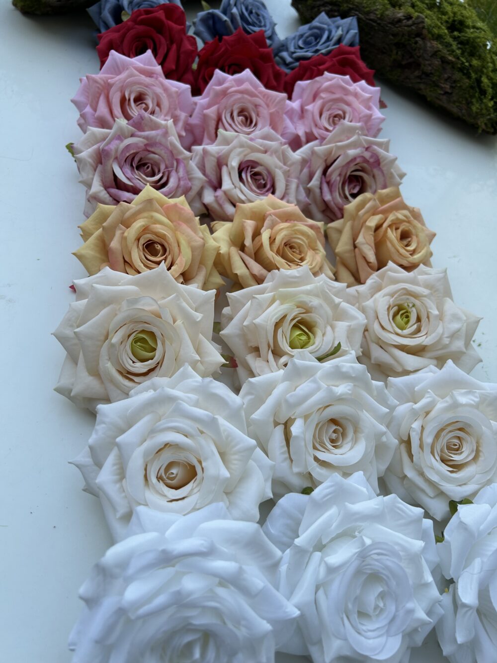 Голова Троянди «Гостролиста»Крем - Зображення 2