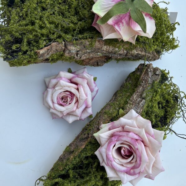 Голова Троянди «Гостролиста»Рожева амбре