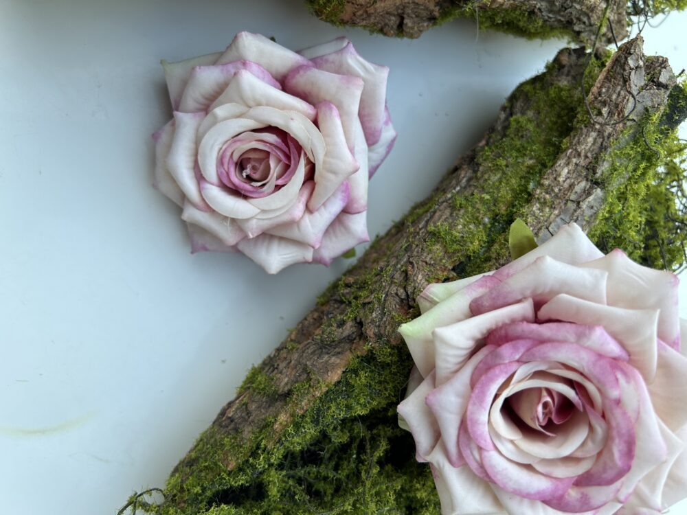 Голова Троянди «Гостролиста»Рожева амбре - Зображення 2