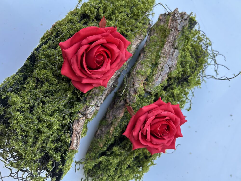 Голова Троянди «Гостролиста»Червона