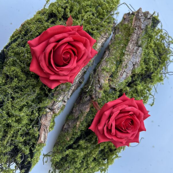 Голова Троянди «Гостролиста»Червона