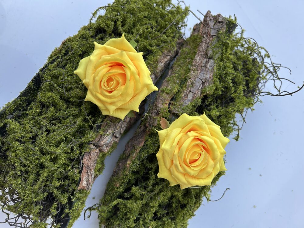 Голова Троянди «Гостролиста»Жовта