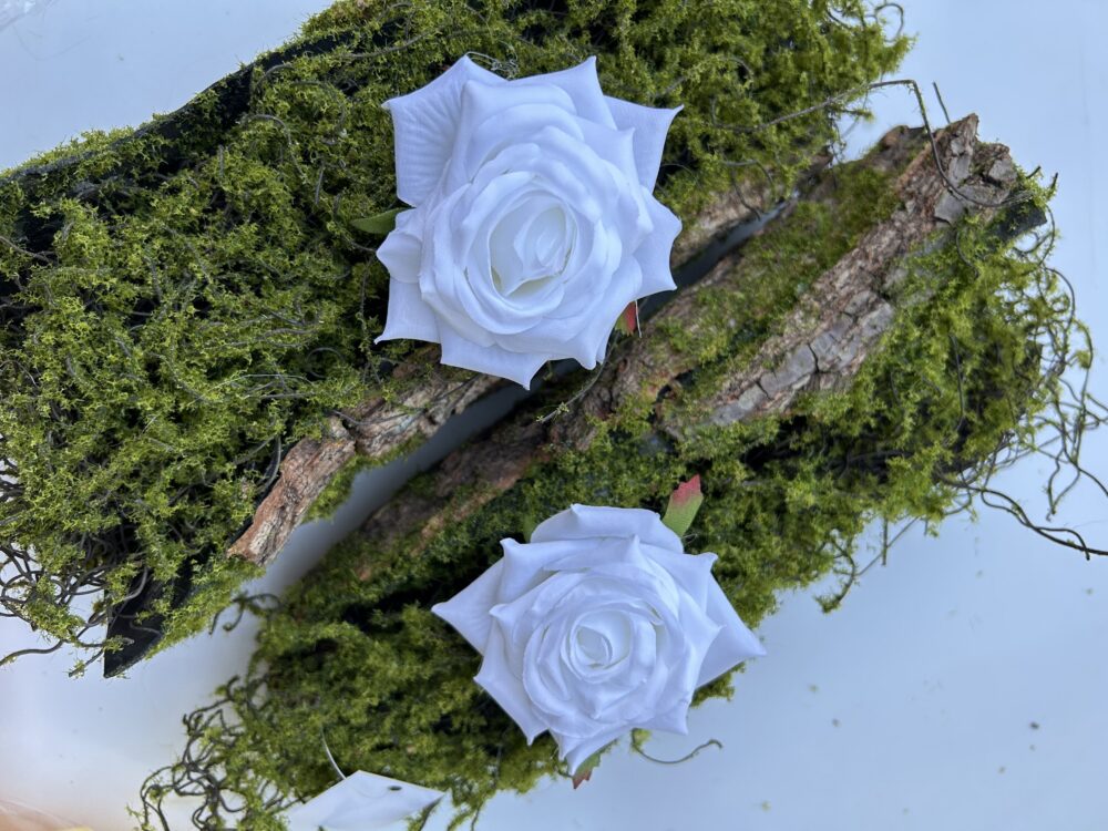 Голова Троянди «Гостролиста»Біла