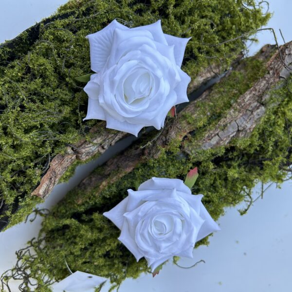 Голова Троянди «Гостролиста»Біла