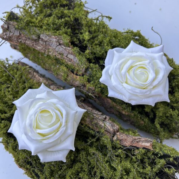 Голова Троянди «Гостролиста»Айворі