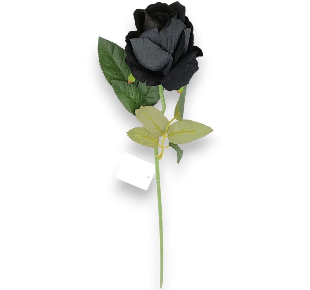 Троянда оксамитова чорна - Зображення 2